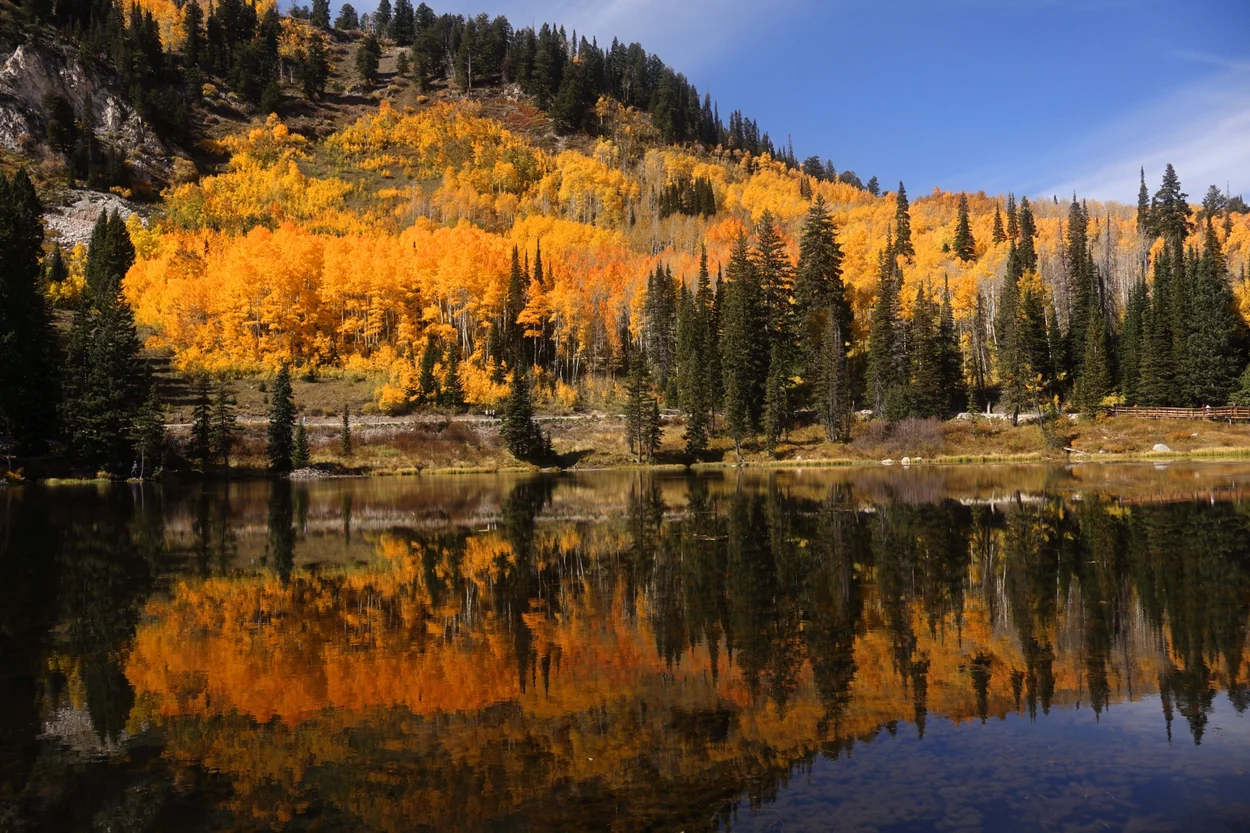 Reflejos de otoño, fotografía original de A. Olivera